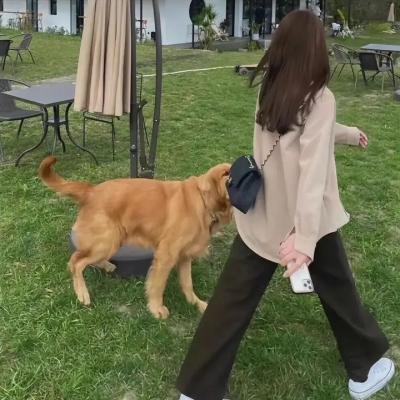 鸟姐妹的反差生活第一季